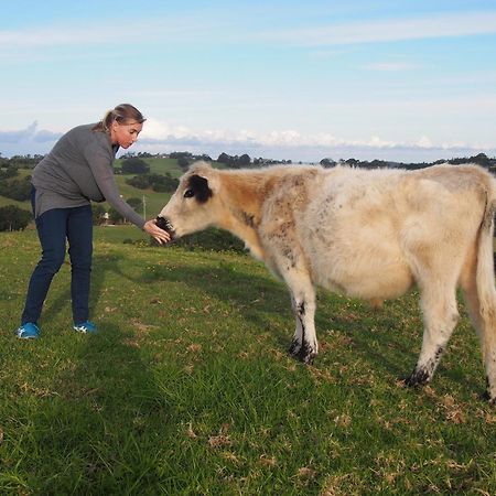 Byron Bay Farm Cottages 外观 照片