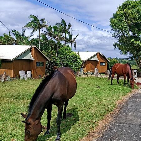 Byron Bay Farm Cottages 外观 照片