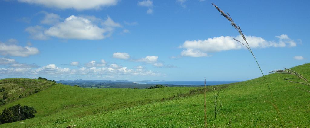 Byron Bay Farm Cottages 外观 照片