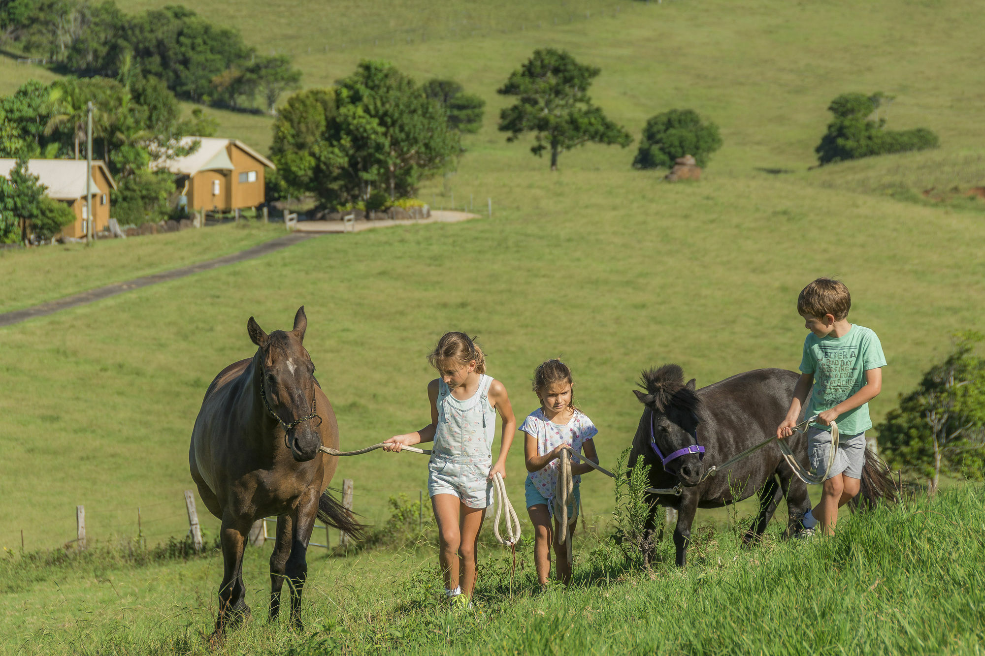 Byron Bay Farm Cottages 外观 照片