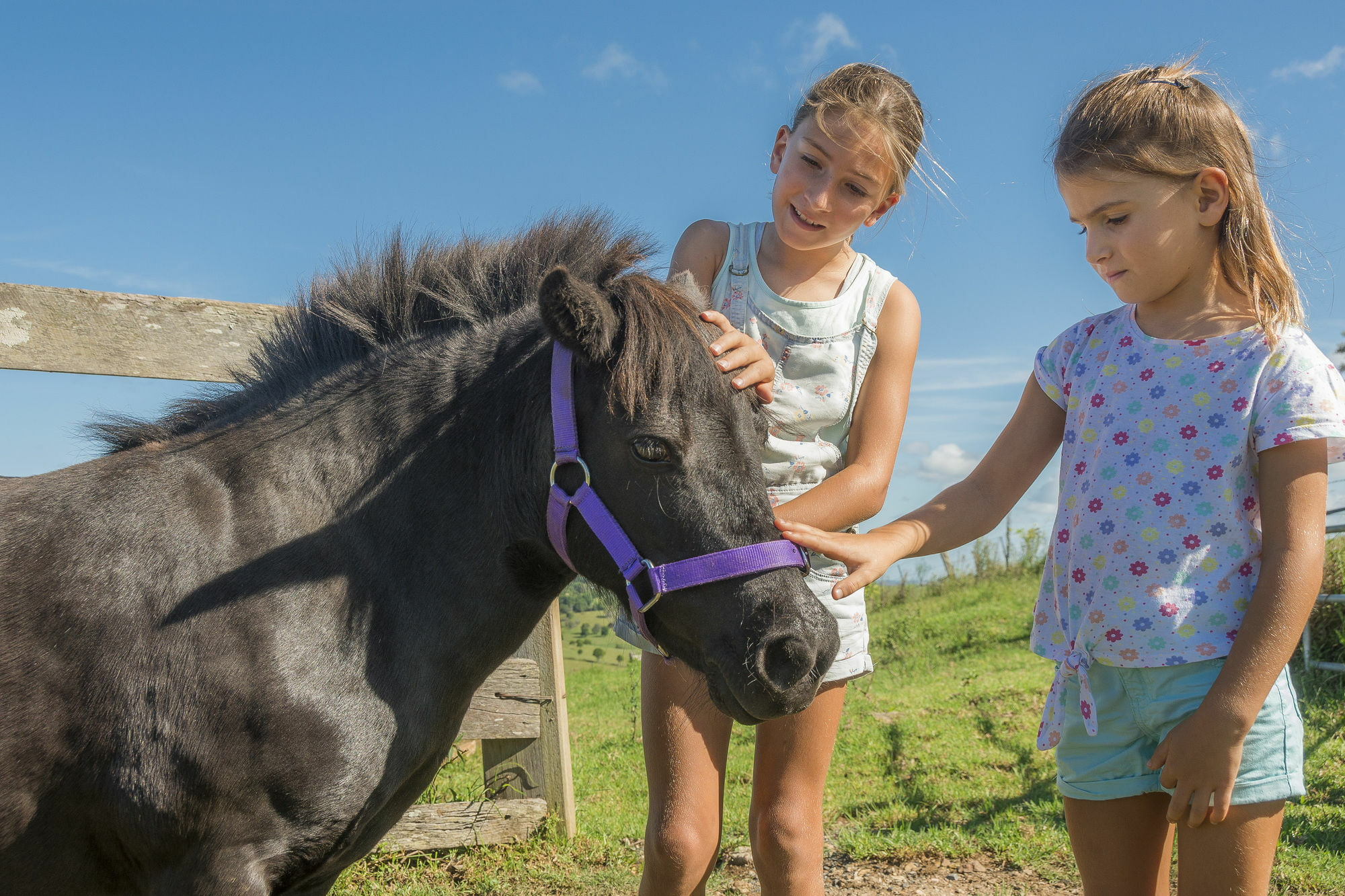 Byron Bay Farm Cottages 外观 照片