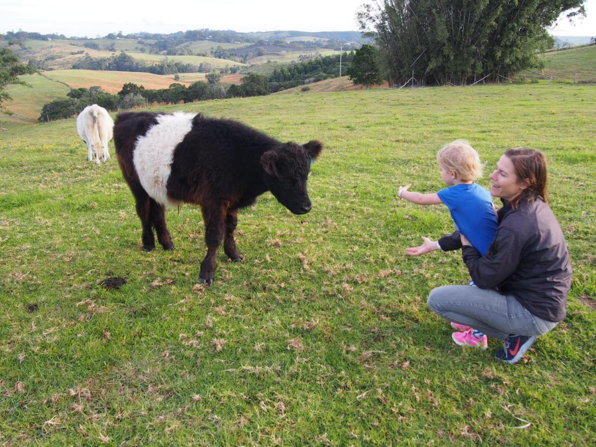 Byron Bay Farm Cottages 外观 照片