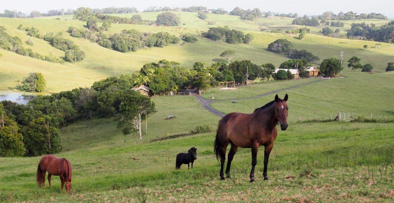 Byron Bay Farm Cottages 外观 照片