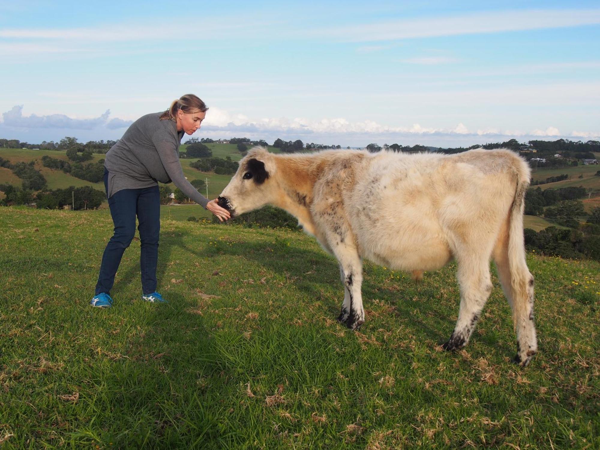 Byron Bay Farm Cottages 外观 照片