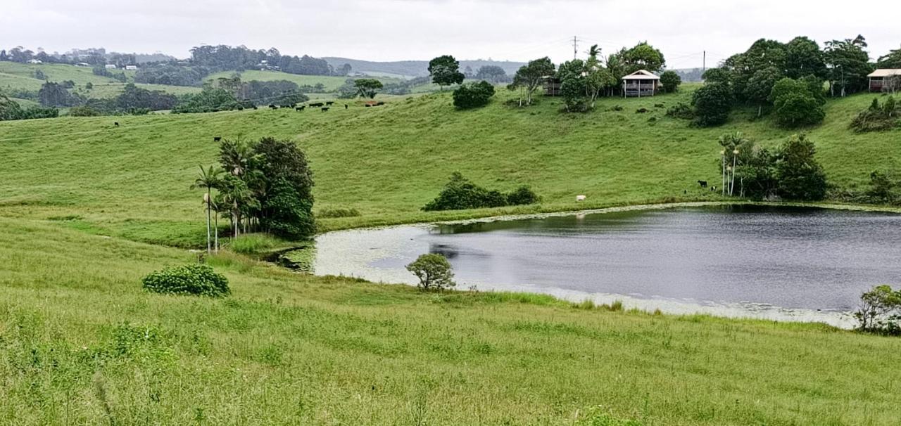 Byron Bay Farm Cottages 外观 照片