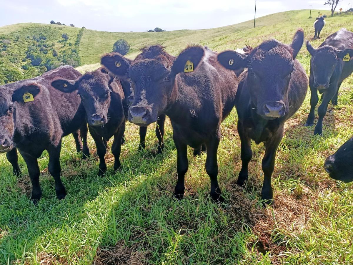 Byron Bay Farm Cottages 外观 照片