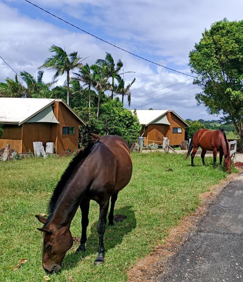 Byron Bay Farm Cottages 外观 照片