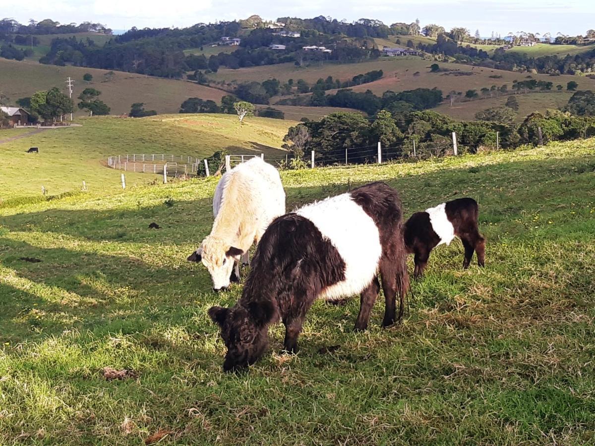 Byron Bay Farm Cottages 外观 照片