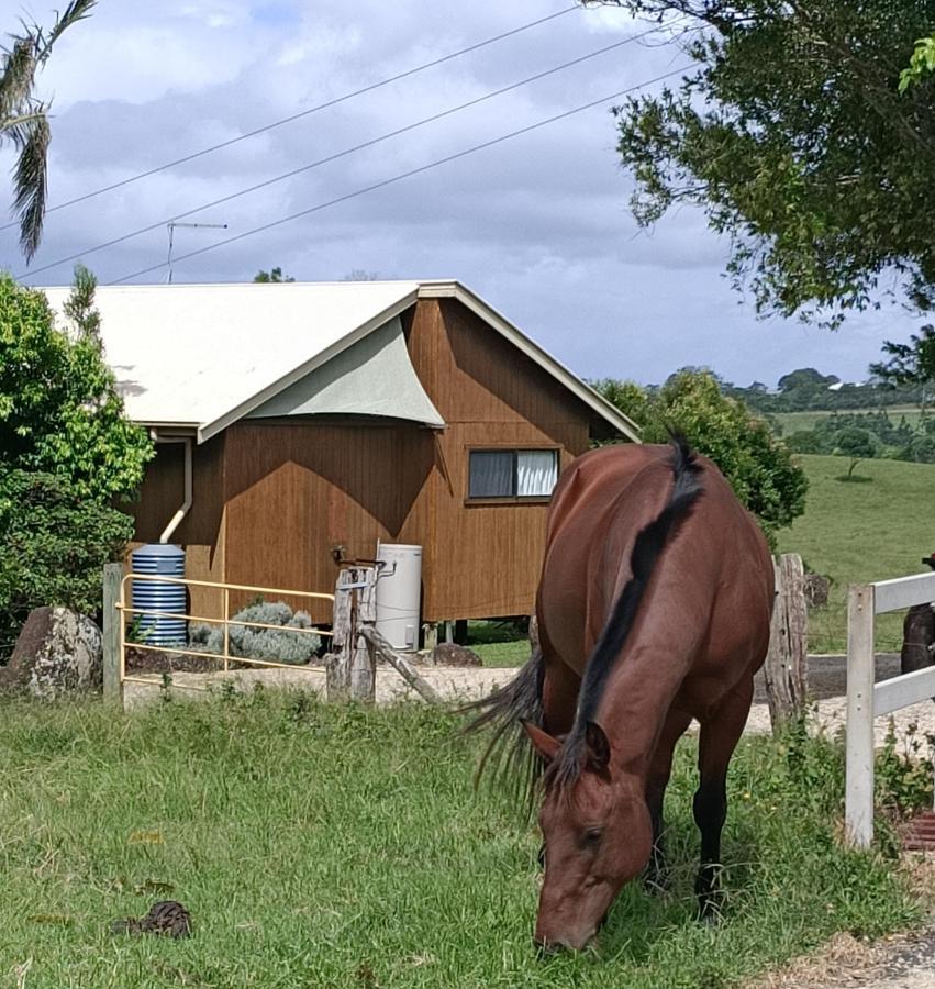 Byron Bay Farm Cottages 外观 照片